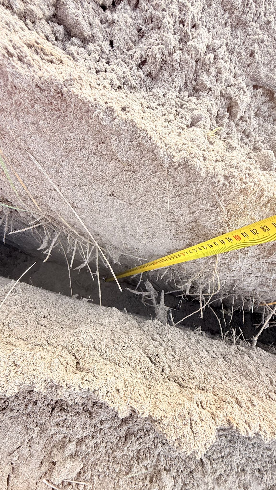 Infrastructuur bekabeling project