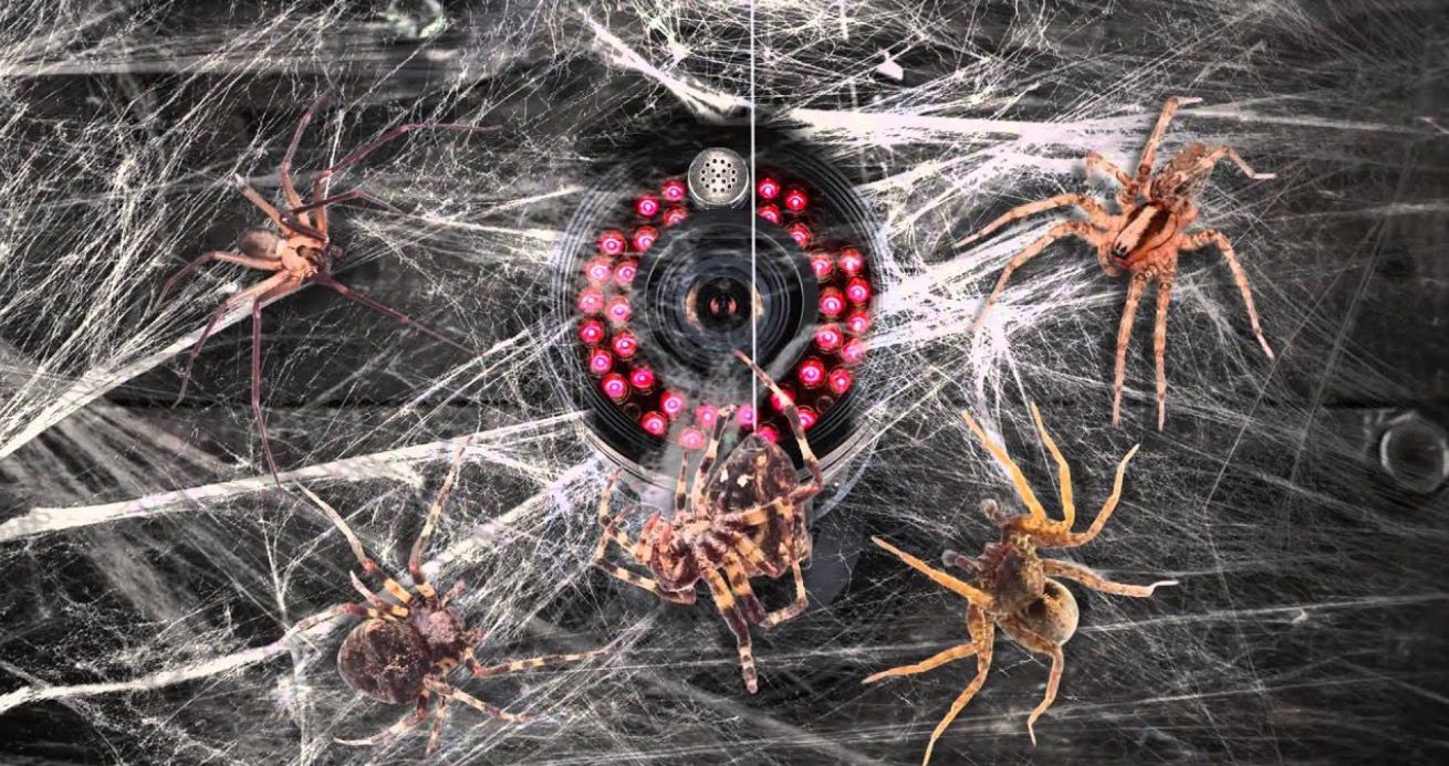 Onderhoud van camerabewaking